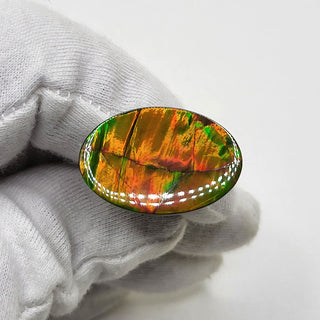 5090325 - Freeform - Oval - (Grade: AA / A4)