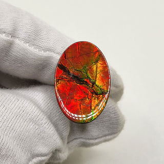 5100325 - Freeform - Oval - (Grade: A+ / A3)