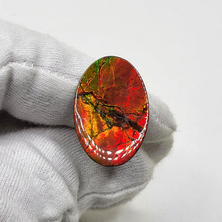 5100325 - Freeform - Oval - (Grade: A+ / A3)