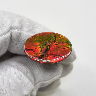 5100325 - Freeform - Oval - (Grade: A+ / A3)