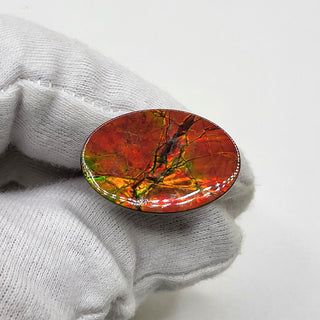 5100325 - Freeform - Oval - (Grade: A+ / A3)