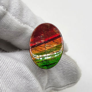 5110325 - Freeform - Oval - (Grade: A+ / A3)