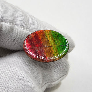 5110325 - Freeform - Oval - (Grade: A+ / A3)