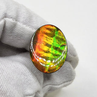 5130325 - Freeform - Oval - (Grade: A+ / A3)