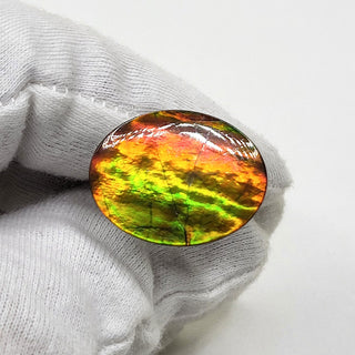 5130325 - Freeform - Oval - (Grade: A+ / A3)