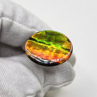 5130325 - Freeform - Oval - (Grade: A+ / A3)