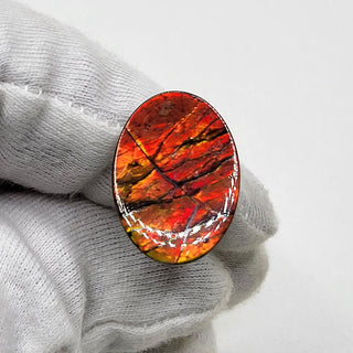 5140325 - Freeform - Oval - (Grade: A / A2)