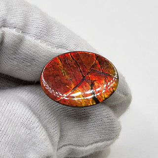 5140325 - Freeform - Oval - (Grade: A / A2)