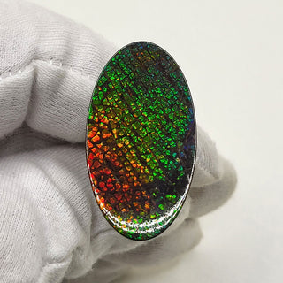 5150325 - Freeform - Oval - (Grade: A+ / A3)