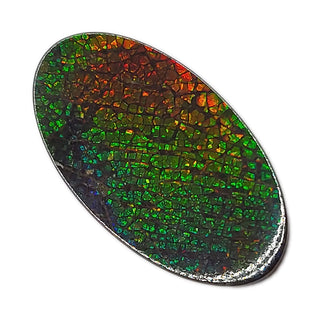 5150325 - Freeform - Oval - (Grade: A+ / A3)