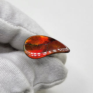 5170325 - Freeform - Sw Pear (Grade: A / A2)