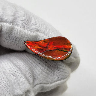 5170325 - Freeform - Sw Pear (Grade: A / A2)