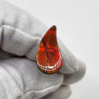 5170325 - Freeform - Sw Pear (Grade: A / A2)