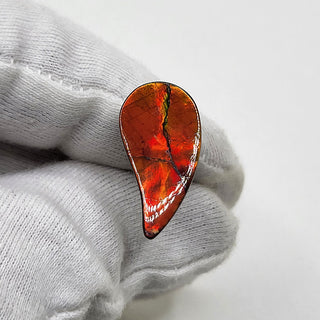 5170325 - Freeform - Sw Pear (Grade: A / A2)