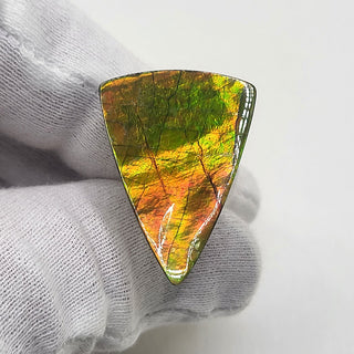 Ammolite Triangle Shaped Freeform Loose Gemstone 5200425 - 0 Degrees