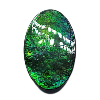 Ammolite Oval Shaped Freeform Loose Gemstone 5210425
