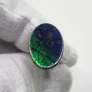 Ammolite Oval Shaped Freeform Loose Gemstone 5220425 - 0 Degrees