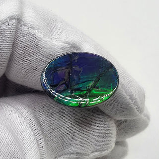 5220425 - Freeform - Oval - (Grade: A+ / A3)