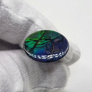 5220425 - Freeform - Oval - (Grade: A+ / A3)