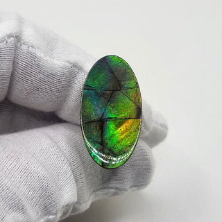 Ammolite Oval Shaped Freeform Loose Gemstone 5250425 - 0 Degrees