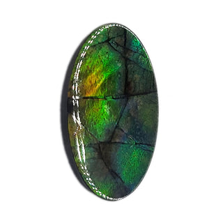 Ammolite Oval Shaped Freeform Loose Gemstone 5250425