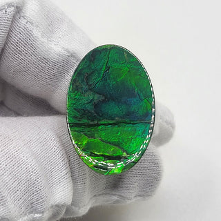 Ammolite Oval Shaped Freeform Loose Gemstone 5280425 - 0 Degrees