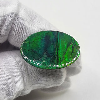 5280425 - Freeform - Oval - (Grade: A / A2)