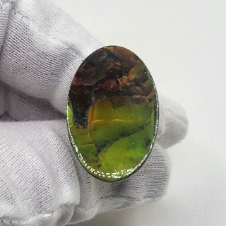 5280425 - Freeform - Oval - (Grade: A / A2)