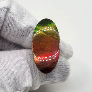 Ammolite Oval Shaped Freeform Loose Gemstone 5290425 - 0 Degrees