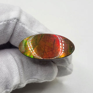 5290425 - Freeform - Oval - (Grade: A / A2)