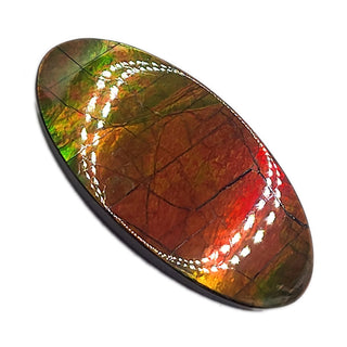 Ammolite Oval Shaped Freeform Loose Gemstone 5290425