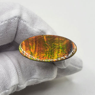 5300425 - Freeform - Oval - (Grade: A+ / A3)