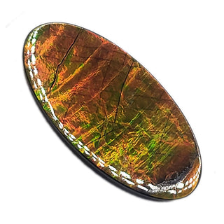 Ammolite Oval Shaped Freeform Loose Gemstone 5300425