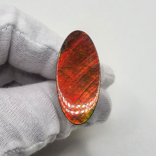 Ammolite Oval Freeform Loose Gemstone 5310425 - 0 Degrees