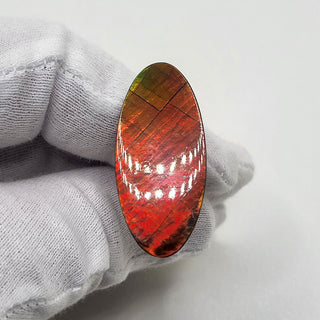 5310425 - Freeform - Oval - (Grade: A / A2)