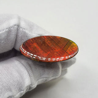 5310425 - Freeform - Oval - (Grade: A / A2)