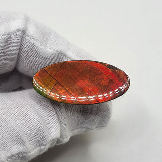 5310425 - Freeform - Oval - (Grade: A / A2)