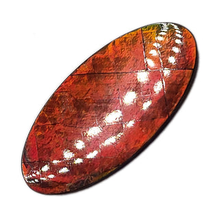 Ammolite Oval Freeform Loose Gemstone 5310425