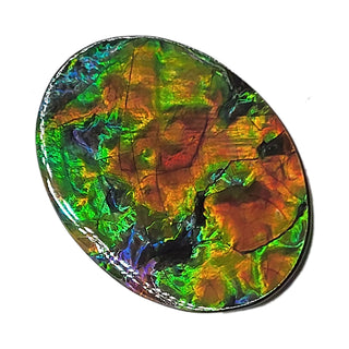 6240725 - Freeform - Oval - (Grade: AAA / A5)