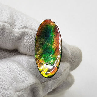 6440925 - Freeform - Oval - (Grade: A+ / A3)