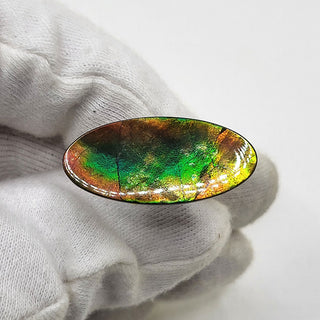 6440925 - Freeform - Oval - (Grade: A+ / A3)