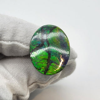 6490925 - Freeform - Oval - (Grade: AA / A4)