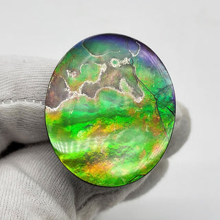 6520925 - Freeform - Oval - (Grade: AA / A4)