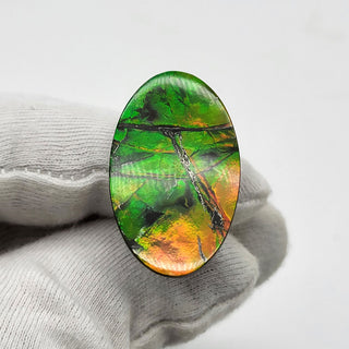 6530925 - Freeform - Oval - (Grade: A+ / A3)