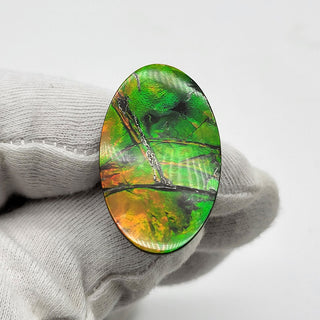 6530925 - Freeform - Oval - (Grade: A+ / A3)