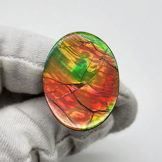 6611025 - Freeform - Oval - (Grade: A+ / A3)