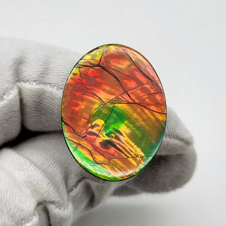 6611025 - Freeform - Oval - (Grade: A+ / A3)