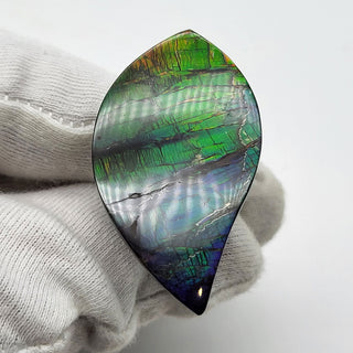 6641125 - Freeform - Sw Eye (Grade: A+ / A3)