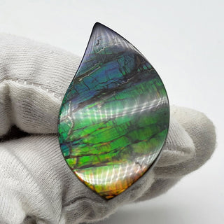 6641125 - Freeform - Sw Eye (Grade: A+ / A3)