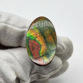 6721125 - Freeform - Oval - (Grade: A+ / A3)
